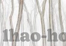 8比O足球比分-8比0，足球场上的屠杀与反思