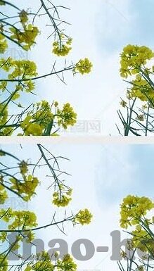 直播比分足球比分-直播比分与足球比分，数字背后的热血与激情