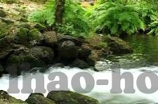 昨天的足球比分总比分-回溯绿茵风云，昨天的足球比分总比分背后的故事