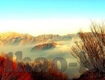 足球彩比分直播-足球彩比分直播，一场跨越时空的足球盛宴实时追踪指南
